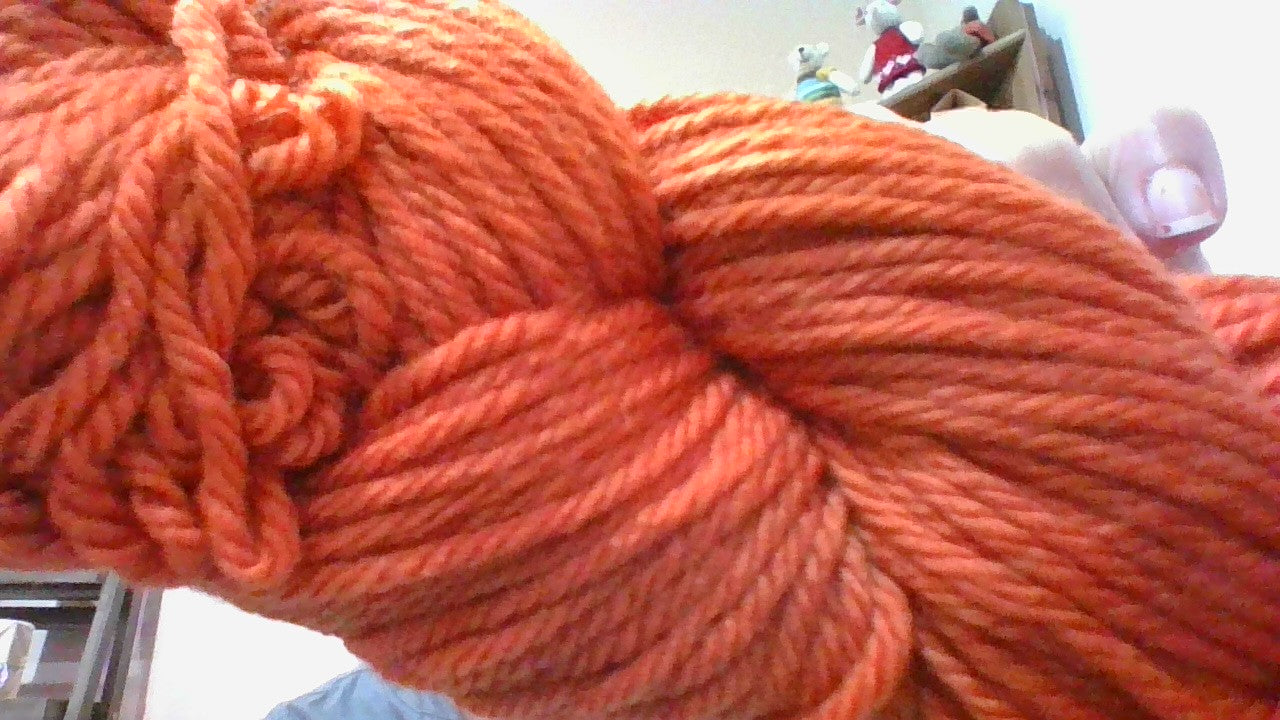 Cascade 220 Superwash Aran - 337 Pumpkin Spice