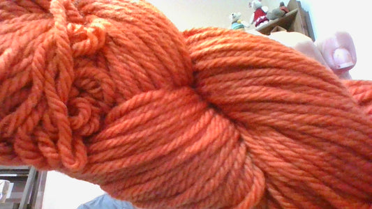 Cascade 220 Superwash Aran - 337 Pumpkin Spice