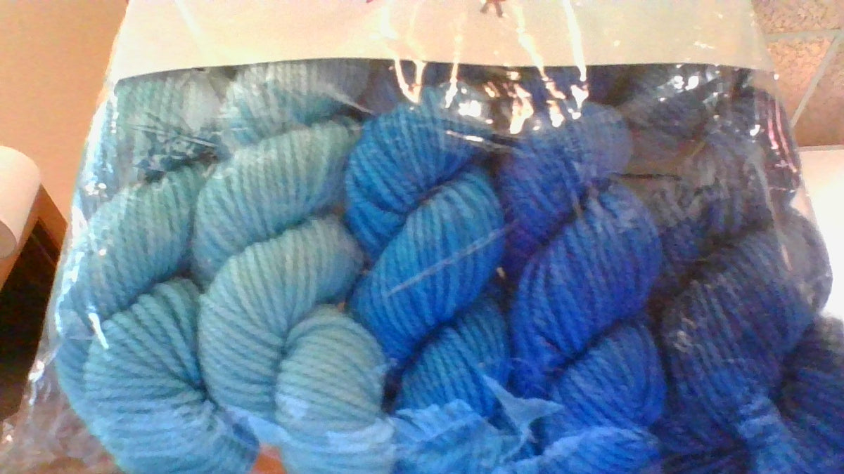 Anzula Squishy Skeinettes-Ocean's Anzula turquoise