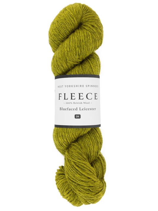 West Yorkshire Spinners Fleece BFL DK FELLSIDE 1038