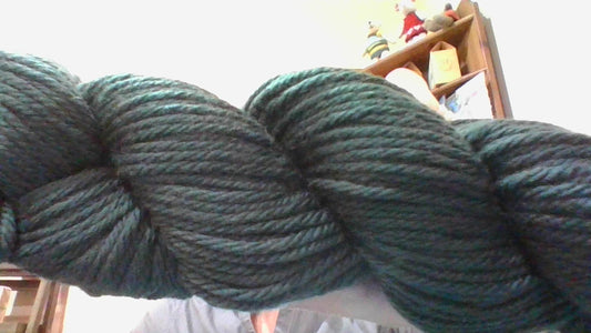 Cascade 220 Superwash Aran - 258 Pine Grove