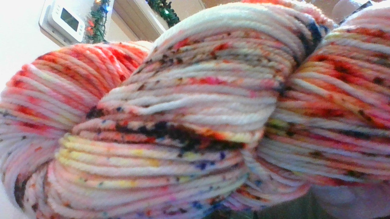 Malabrigo Arroyo 231 Sea Slug
