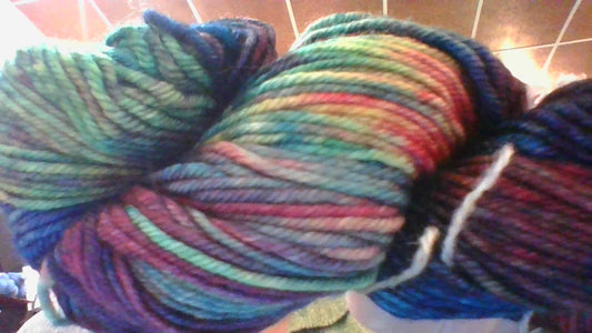 Malabrigo Rios 684 Camaleon