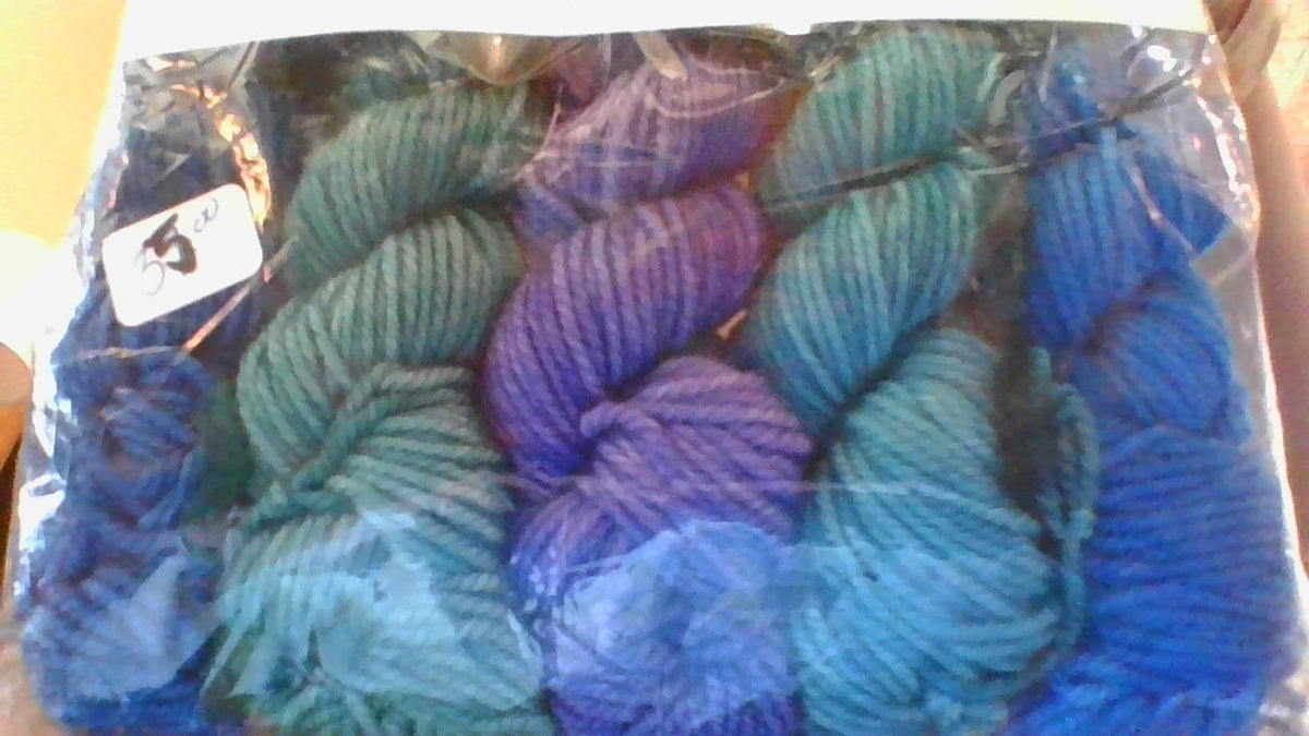 Anzula Squishy Skeinettes-Age of Aquarius blues