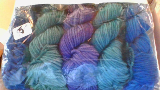 Anzula Squishy Skeinettes-Age of Aquarius blues