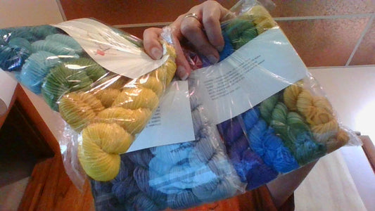 Anzula Squishy Skeinettes