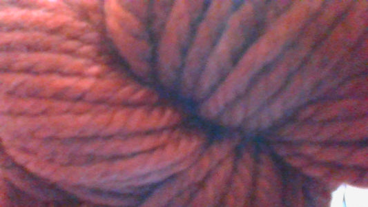 Malabrigo Chunky-123 Rodhesian Ridgeback