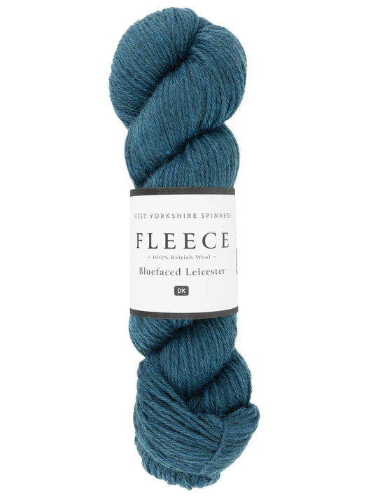 West Yorkshire Spinners Fleece BFL DK RAVINE 1041
